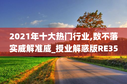 2021年十大热门行业,数不落实威解准威_授业解惑版RE35