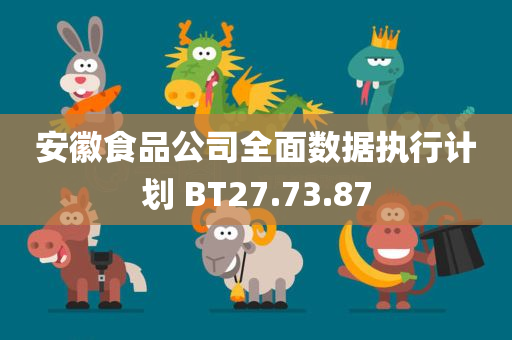 安徽食品公司全面数据执行计划 BT27.73.87