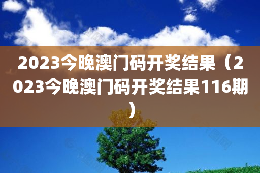 2023今晚澳门码开奖结果（2023今晚澳门码开奖结果116期）