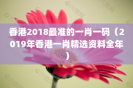 香港2018最准的一肖一码（2019年香港一肖精选资料全年）