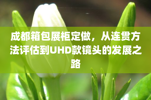 成都箱包展柜定做，从连贯方法评估到UHD款镜头的发展之路