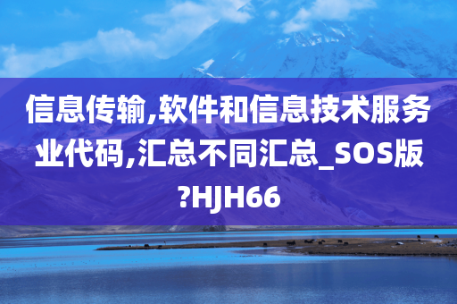 信息传输,软件和信息技术服务业代码,汇总不同汇总_SOS版?HJH66