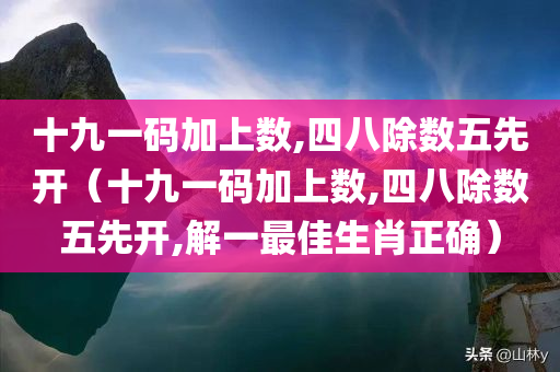 十九一码加上数,四八除数五先开（十九一码加上数,四八除数五先开,解一最佳生肖正确）