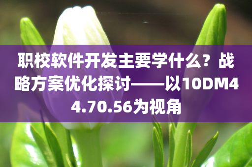 职校软件开发主要学什么？战略方案优化探讨——以10DM44.70.56为视角