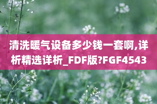 清洗暖气设备多少钱一套啊,详析精选详析_FDF版?FGF4543