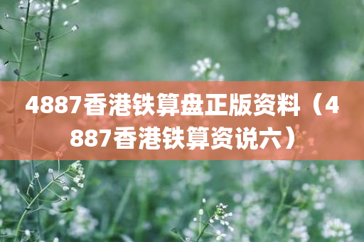 4887香港铁算盘正版资料（4887香港铁算资说六）