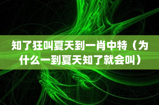 知了狂叫夏天到一肖中特（为什么一到夏天知了就会叫）