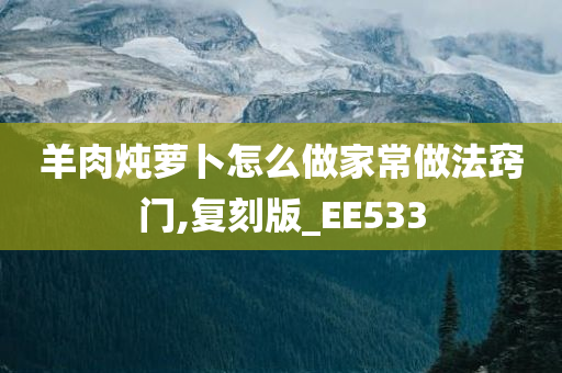 羊肉炖萝卜怎么做家常做法窍门,复刻版_EE533