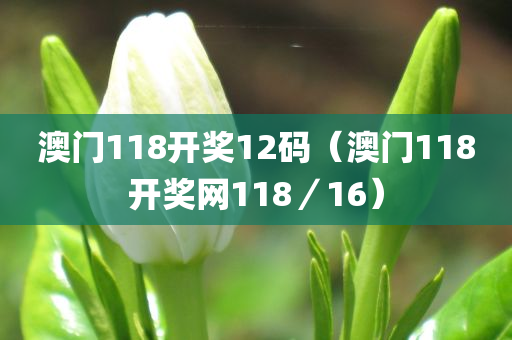 澳门118开奖12码（澳门118开奖网118／16）