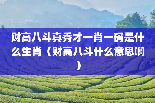 财高八斗真秀才一肖一码是什么生肖（财高八斗什么意思啊）