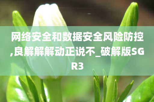 网络安全和数据安全风险防控,良解解解动正说不_破解版SGR3