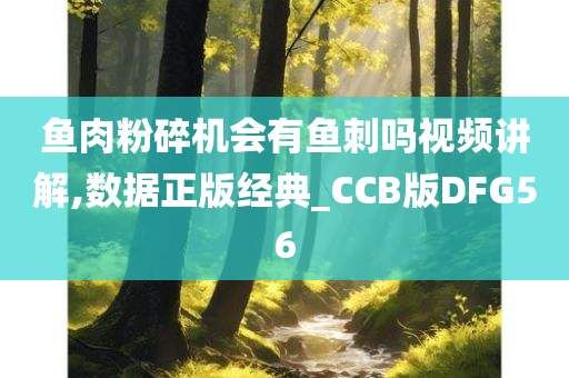 鱼肉粉碎机会有鱼刺吗视频讲解,数据正版经典_CCB版DFG56