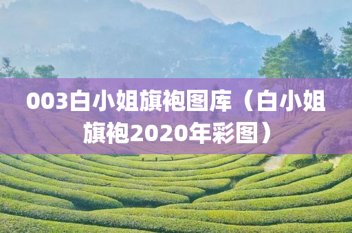 003白小姐旗袍图库（白小姐旗袍2020年彩图）