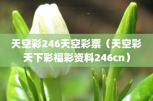 天空彩246天空彩票（天空彩天下彩福彩资料246cn）