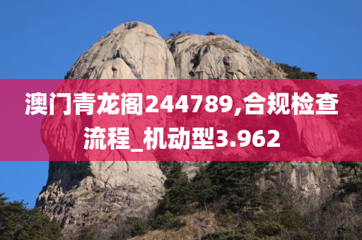 澳门青龙阁244789,合规检查流程_机动型3.962