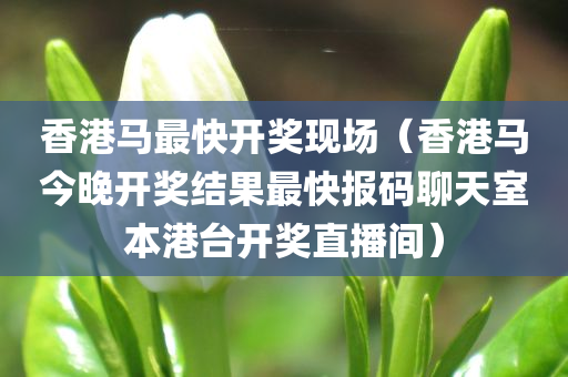 香港马最快开奖现场（香港马今晚开奖结果最快报码聊天室本港台开奖直播间）