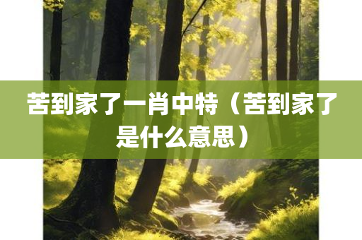 苦到家了一肖中特（苦到家了是什么意思）