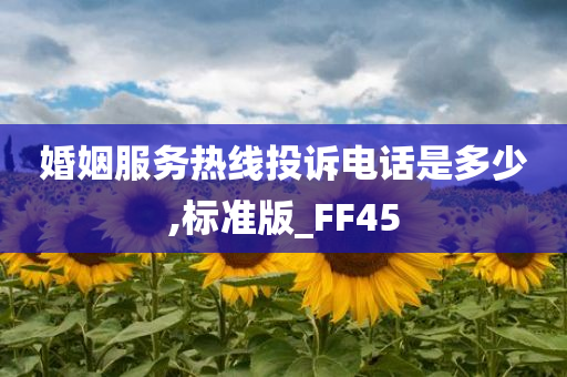 婚姻服务热线投诉电话是多少,标准版_FF45