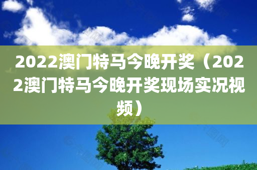 2022澳门特马今晚开奖（2022澳门特马今晚开奖现场实况视频）