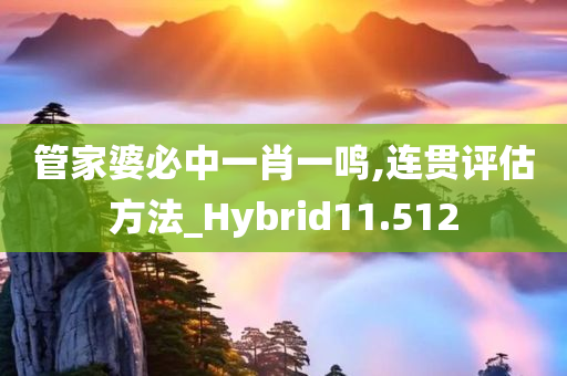 管家婆必中一肖一鸣,连贯评估方法_Hybrid11.512