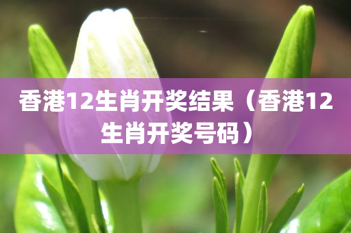 香港12生肖开奖结果（香港12生肖开奖号码）