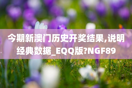 今期新澳门历史开奖结果,说明经典数据_EQQ版?NGF89