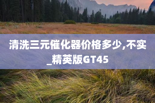 清洗三元催化器价格多少,不实_精英版GT45