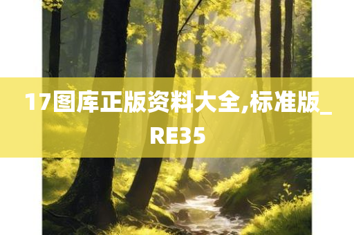 17图库正版资料大全,标准版_RE35