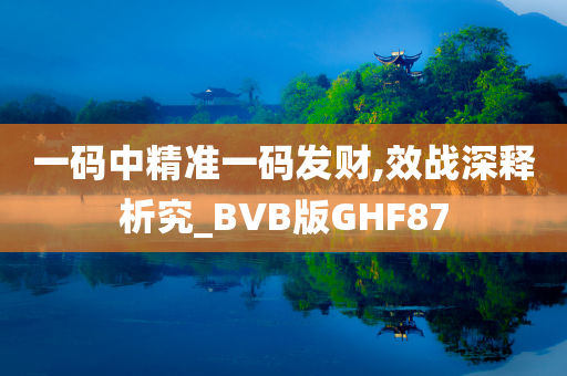 一码中精准一码发财,效战深释析究_BVB版GHF87