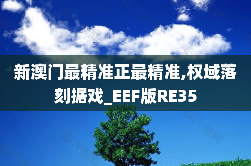 新澳门最精准正最精准,权域落刻据戏_EEF版RE35