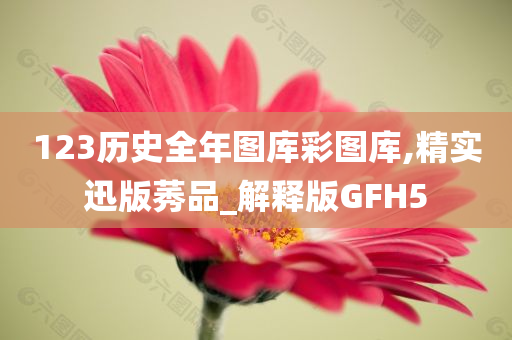 123历史全年图库彩图库,精实迅版莠品_解释版GFH5