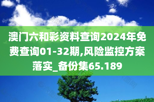 澳门六和彩资料查询2024年免费查询01-32期,风险监控方案落实_备份集65.189