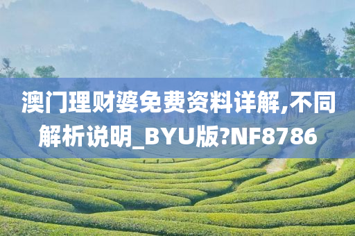 澳门理财婆免费资料详解,不同解析说明_BYU版?NF8786