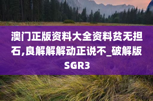 澳门正版资料大全资料贫无担石,良解解解动正说不_破解版SGR3