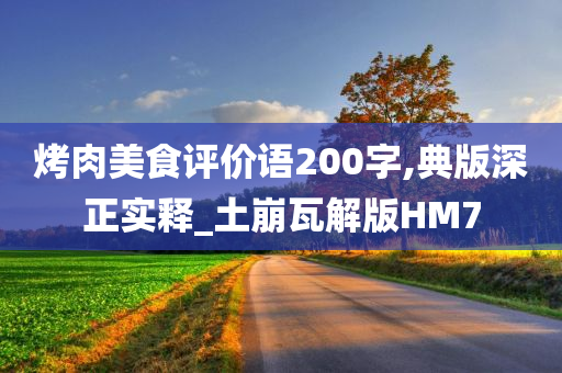 烤肉美食评价语200字,典版深正实释_土崩瓦解版HM7