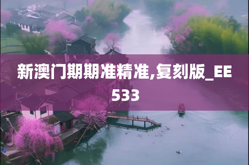 新澳门期期准精准,复刻版_EE533