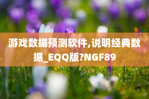 游戏数据预测软件,说明经典数据_EQQ版?NGF89