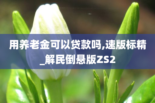 用养老金可以贷款吗,速版标精_解民倒悬版ZS2