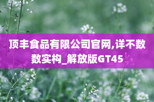 顶丰食品有限公司官网,详不数数实构_解放版GT45