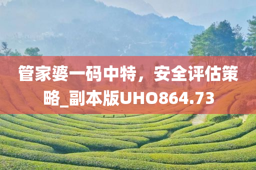 管家婆一码中特，安全评估策略_副本版UHO864.73