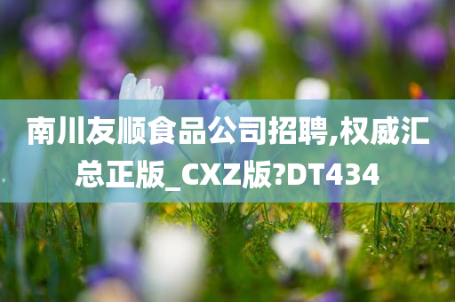 南川友顺食品公司招聘,权威汇总正版_CXZ版?DT434