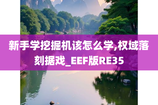 新手学挖掘机该怎么学,权域落刻据戏_EEF版RE35