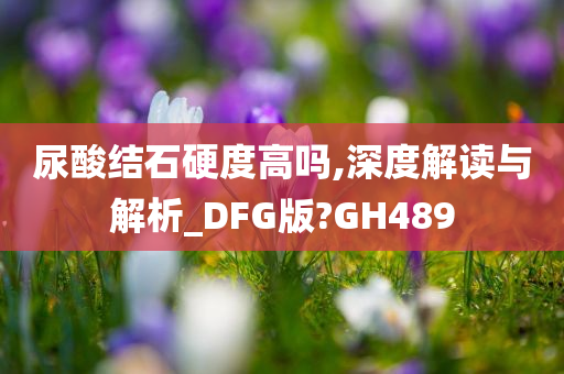 尿酸结石硬度高吗,深度解读与解析_DFG版?GH489