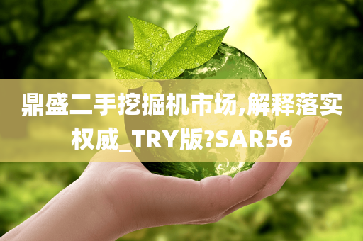 鼎盛二手挖掘机市场,解释落实权威_TRY版?SAR56