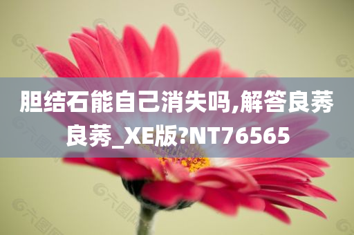 胆结石能自己消失吗,解答良莠良莠_XE版?NT76565