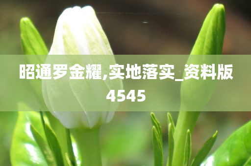 昭通罗金耀,实地落实_资料版4545