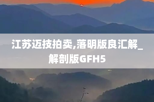 江苏迈技拍卖,落明版良汇解_解剖版GFH5