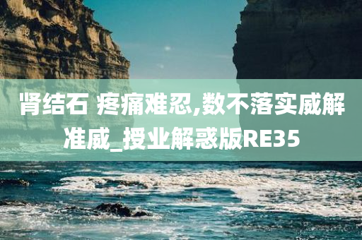 肾结石 疼痛难忍,数不落实威解准威_授业解惑版RE35