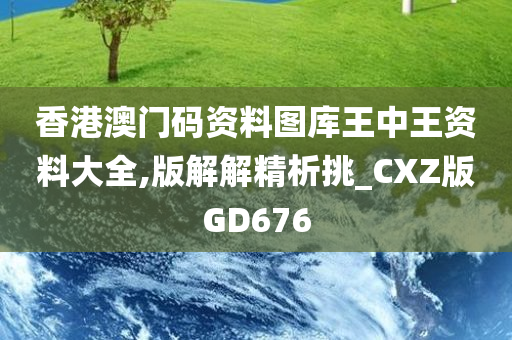 香港澳门码资料图库王中王资料大全,版解解精析挑_CXZ版GD676