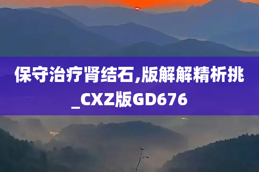 保守治疗肾结石,版解解精析挑_CXZ版GD676